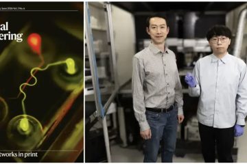 Notre Dame researchers 3D print blood capillaries smaller than a human hair