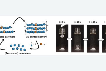 Heidelberg Team Designs Recyclable Polymer for Light-Based 3D Printing