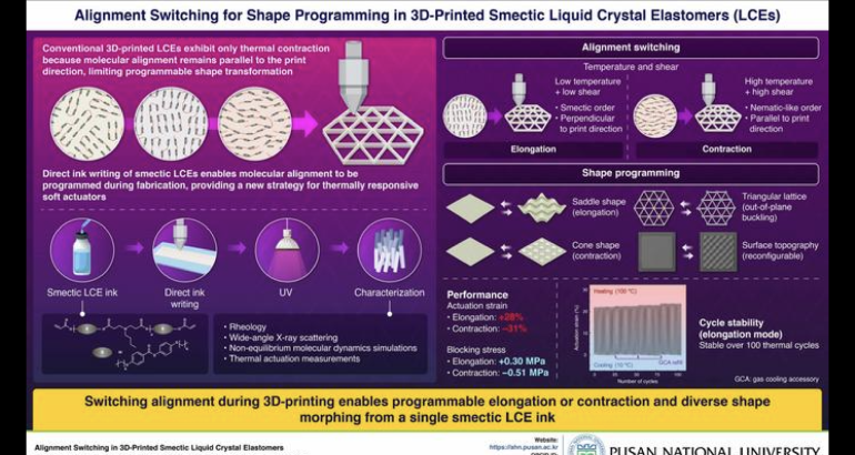 Pusan National University team creates 3D-printable ink that lets soft actuators both stretch and contract