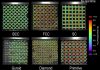 TU Delft 3D-Prints a Short Joint Between Stiff and Flexible Lattices