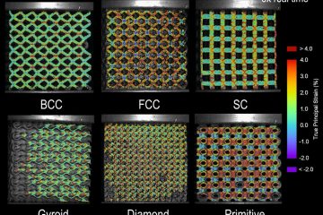 TU Delft 3D-Prints a Short Joint Between Stiff and Flexible Lattices TU Delft 3D-Prints a Short Joint Between Stiff and Flexible Lattices