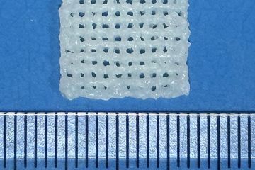 NTU Researchers 3D Print a Bone Scaffold Timed to How Injuries Heal NTU Researchers 3D Print a Bone Scaffold Timed to How Injuries Heal