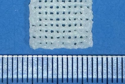 NTU Researchers 3D Print a Bone Scaffold Timed to How Injuries Heal